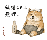 846287197