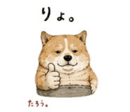 846287199