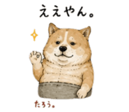 846287203