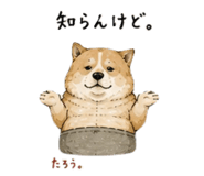 846287204