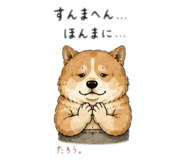 846287205