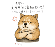 846287209