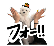 846287627