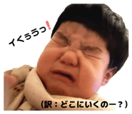 846287644