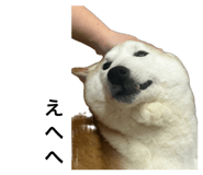 846287663