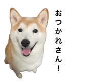 846287664