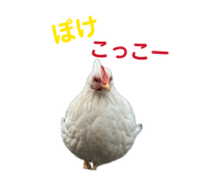 846287854