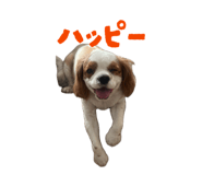 846288028