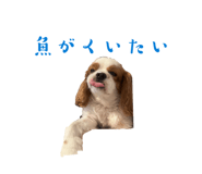 846288031