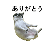846288046