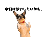 846288047