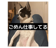 846288048