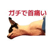 846288053