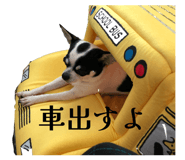 846288055