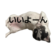 846288059