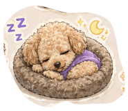 846288077