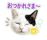 846288215