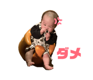 846288394