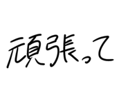 846288404