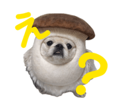 846288715