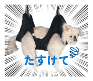 846288727