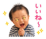 846292254
