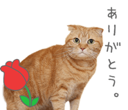 846295513