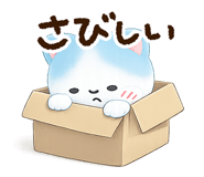 846295555