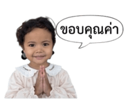 846296558