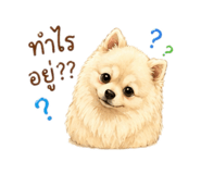 846297052