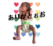 846297620
