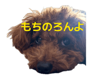 846297883