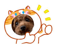 846297888