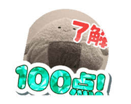 846298593