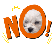 846299031