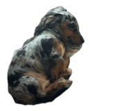 846299140