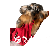846299141