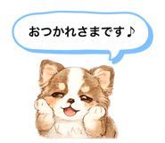 846304582