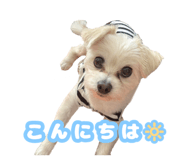846304873