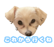 846304875