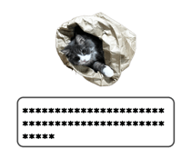 846306109