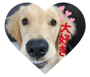 846306366