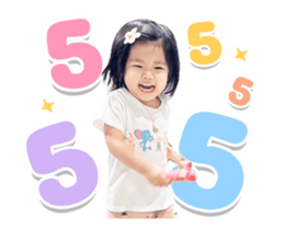 846306562
