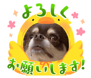 846306866