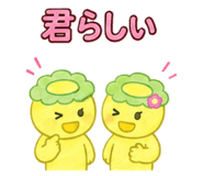 846307011