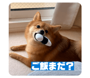 846307346