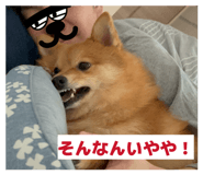 846307350