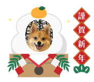 846307357