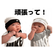 846317094