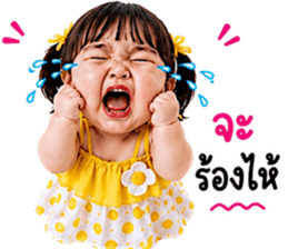 ลายที่ 33